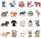 200 PCS Cute Animal Stickers,Colorful Animal Waterproof Stickers,Vinyl Cute Aesthetic Sticker